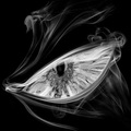 LexX's Avatar