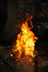 ����'s Avatar
