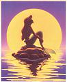 Mermaid's Avatar